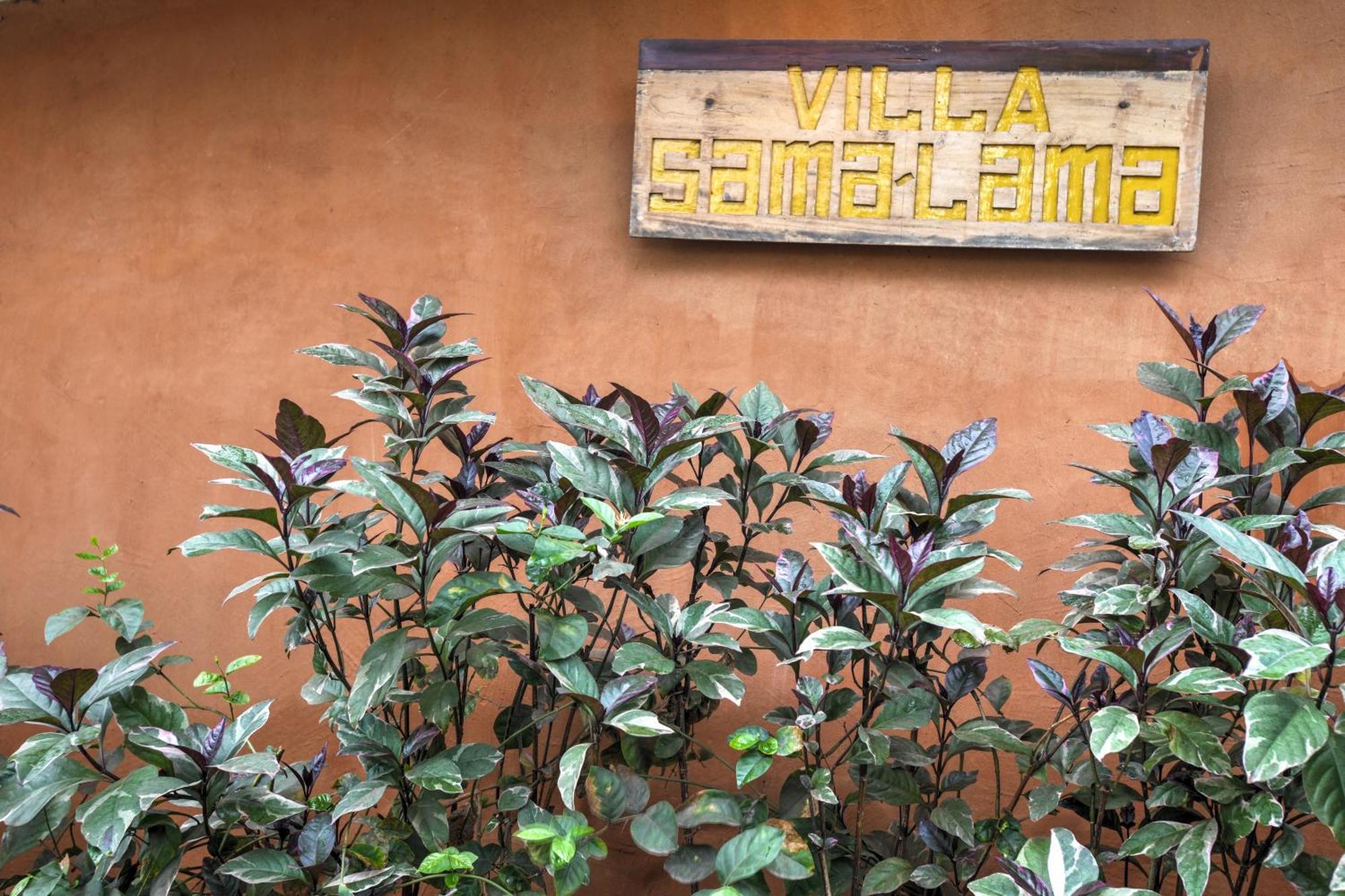 Villas Samalama กิลิไอร์ ภายนอก รูปภาพ