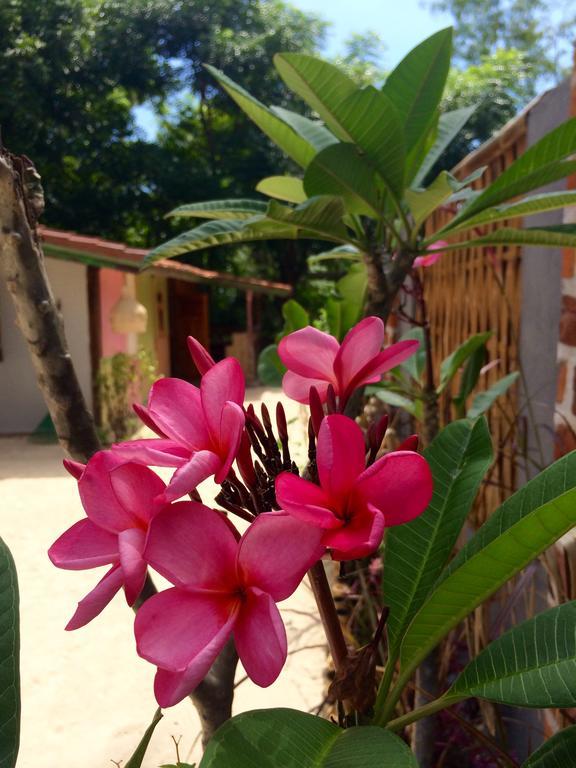 Villas Samalama กิลิไอร์ ภายนอก รูปภาพ